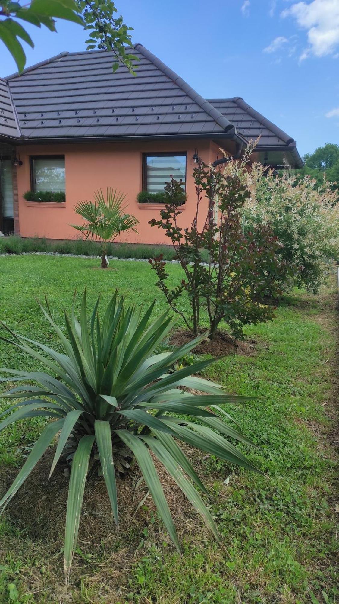 Apartman A&E Zivinice Buitenkant foto